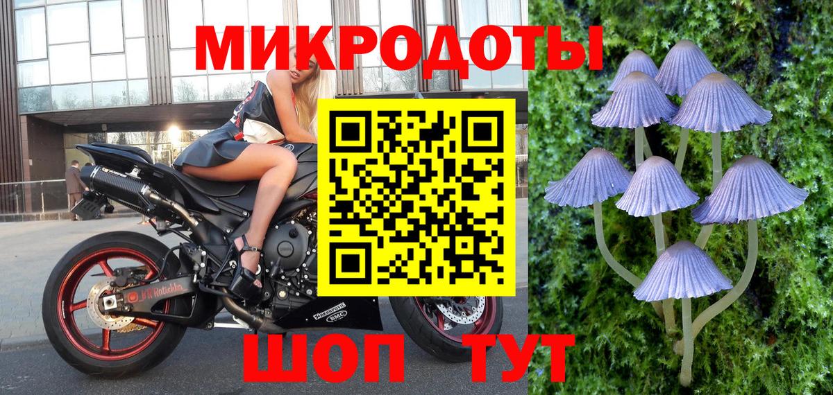 Псилоцибиновые грибы мицелий  Вход с VPN  Алатырь 
