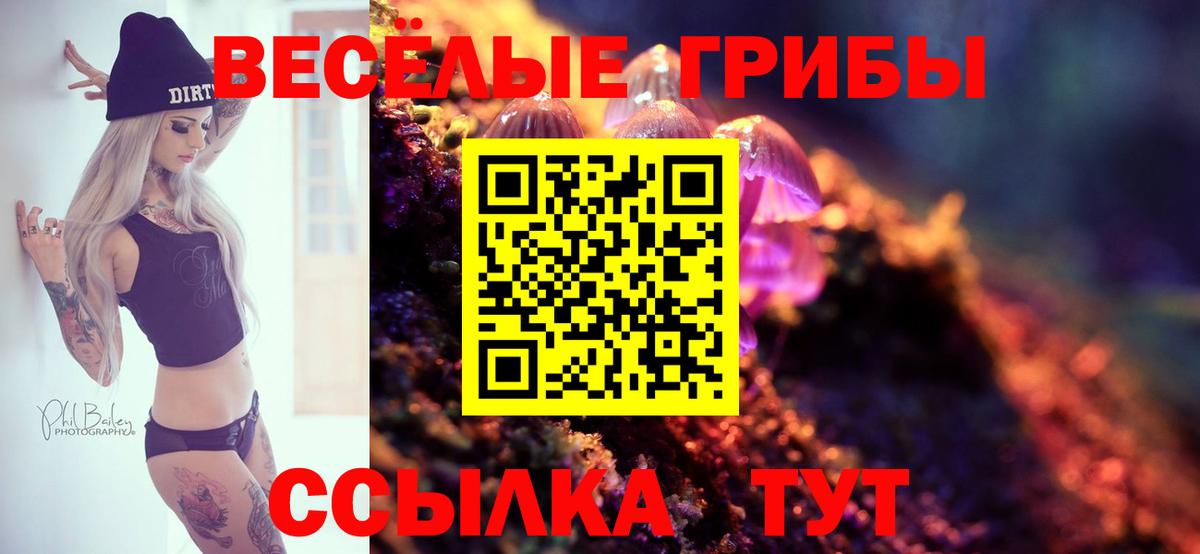 Галлюциногенные грибы мухоморы Алатырь